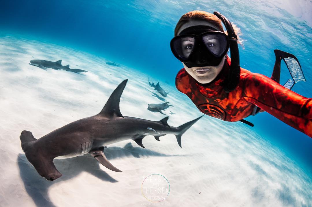 nautilusspearfishing.com
