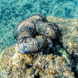 Salvimar Krypsis Spearfishing Wetsuit 3.5mm - 5mm