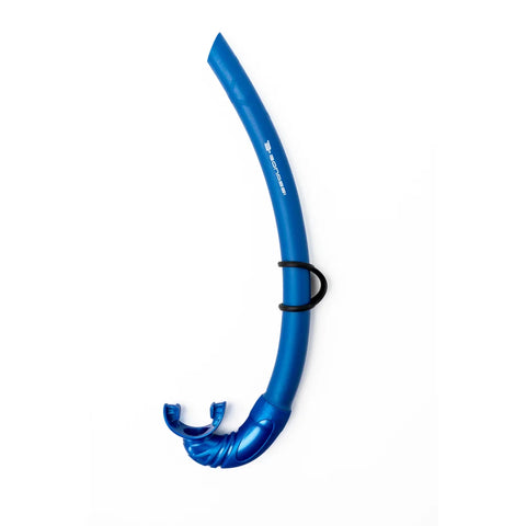 Bahama Snorkel
