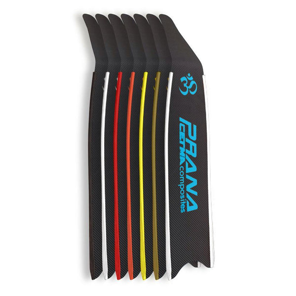 ロングフィン　ダイビング　Cetma Cmposites Carbon Fins Lotus carbon fins